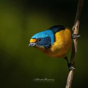 Meet your Posher, Marta